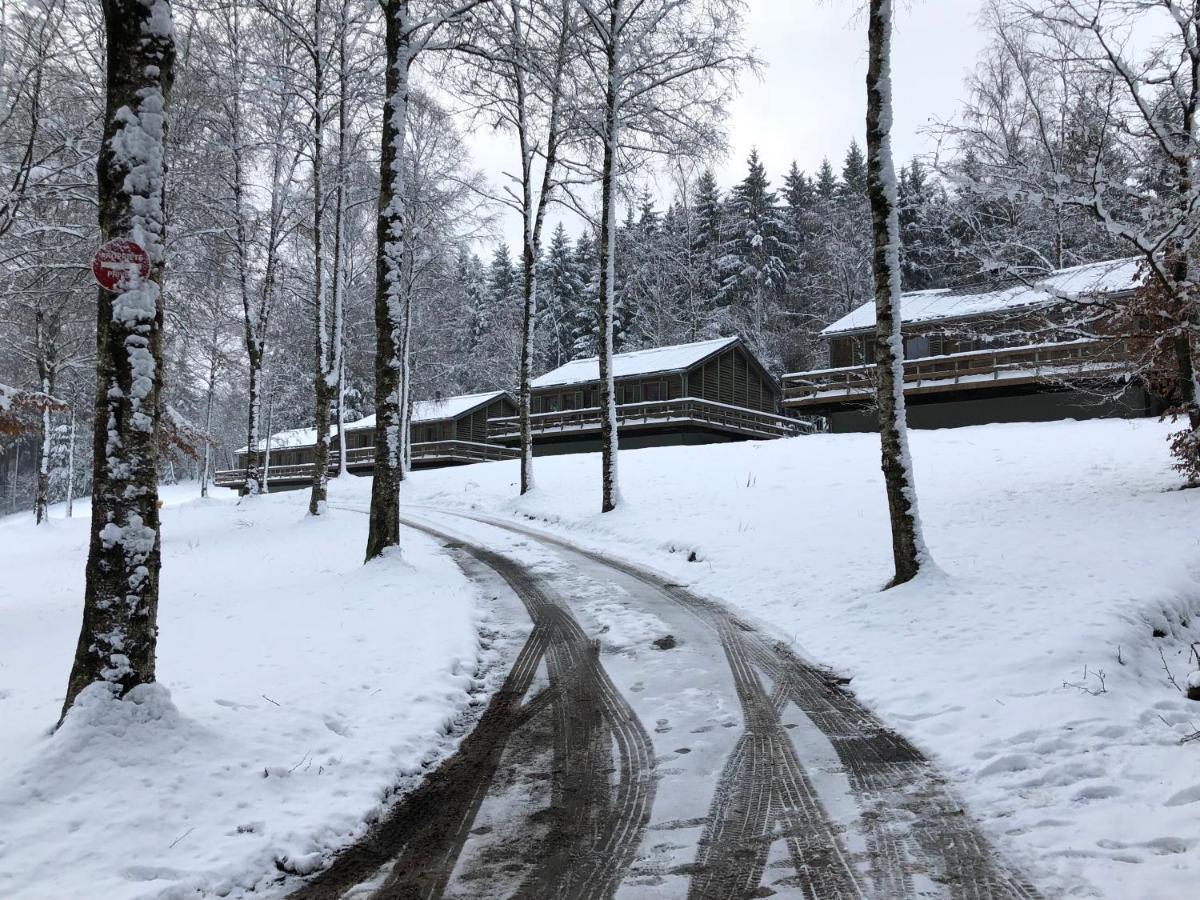 Chalet De Charme, Le "Caribou Lodge", Eifel Belge Büllingen Dış mekan fotoğraf