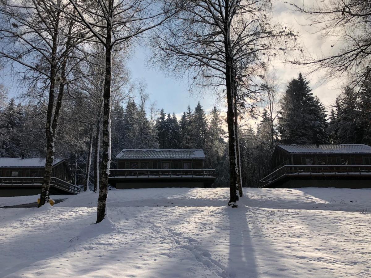 Chalet De Charme, Le "Caribou Lodge", Eifel Belge Büllingen Dış mekan fotoğraf