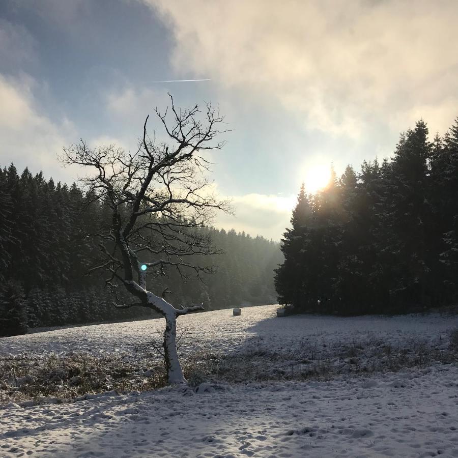 Chalet De Charme, Le "Caribou Lodge", Eifel Belge Büllingen Dış mekan fotoğraf